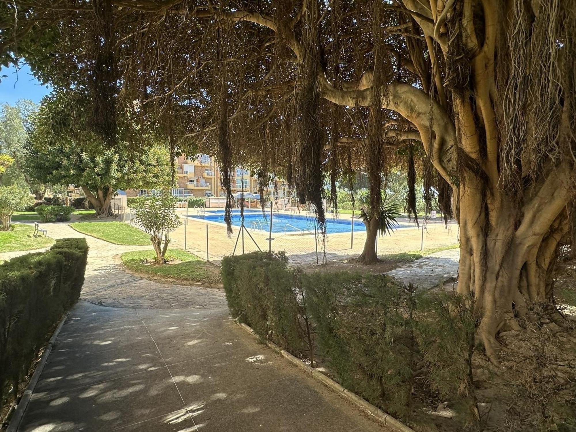 Estudio Agata Con Piscina A 800M De La Playa Benalmádena Eksteriør billede