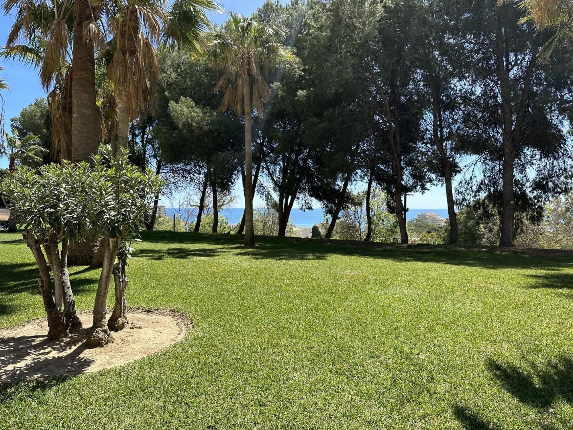 Estudio Agata Con Piscina A 800M De La Playa Benalmádena Eksteriør billede